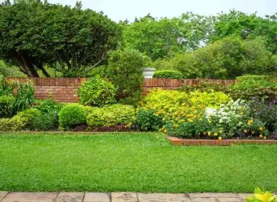 landscaping services Cedar Hill